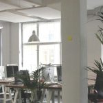 Commercial Painting Contractor