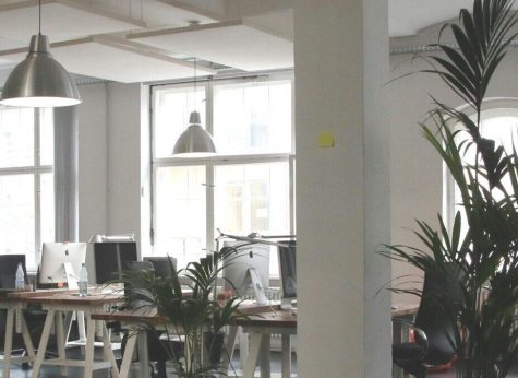 Commercial Painting Contractor